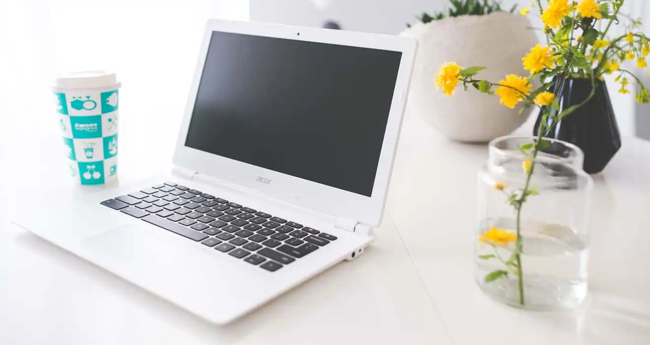 Ремонт ноутбуков Acer в Самаре
